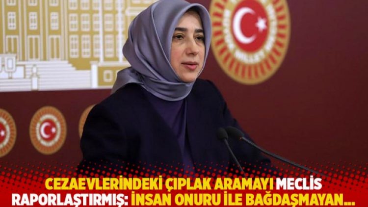 Cezaevlerindeki çıplak aramayı Meclis raporlaştırmış: İnsan onuru ile bağdaşmayan…