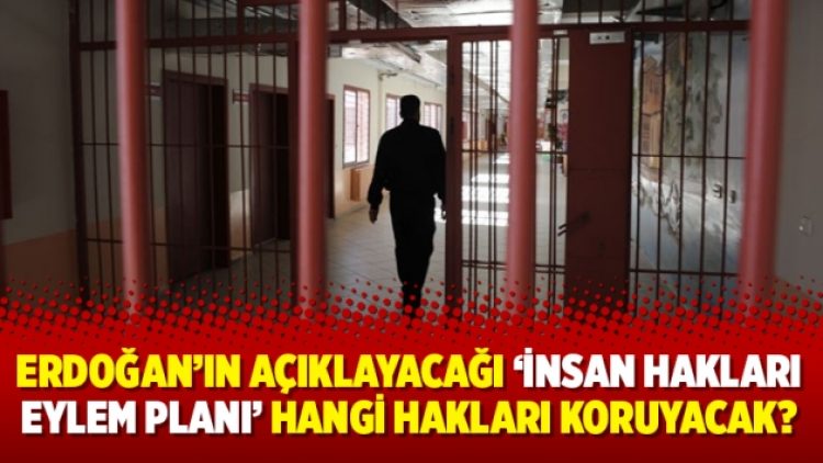 Erdoğan’ın açıklayacağı ‘İnsan Hakları Eylem Planı’ hangi hakları koruyacak?