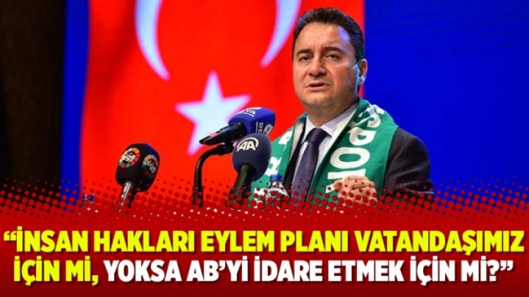 “İnsan Hakları Eylem Planı vatandaşımız için mi, yoksa AB’yi idare etmek için mi?”