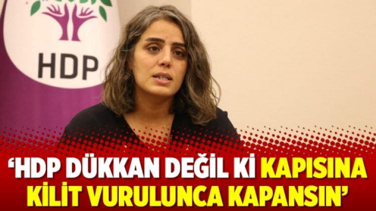 ‘HDP dükkan değil ki kapısına kilit vurulunca kapansın’