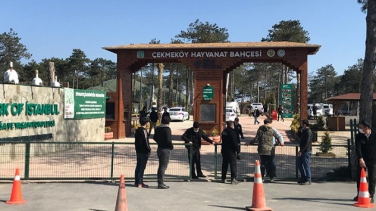 İstanbul’da hayvanat bahçesinde silahlı kavga: 2 ölü