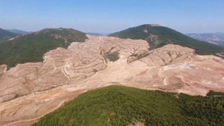 Kaz Dağları’nda altın madeni ruhsatı iptal edildi mi, edilmedi mi?