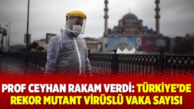 Prof Ceyhan rakam verdi: Türkiye’de rekor mutant virüslü vaka sayısı