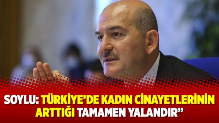 Soylu: Türkiye’de kadın cinayetlerinin arttığı tamamen yalandır