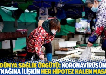Dünya Sağlık Örgütü: Koronavirüsün kaynağına ilişkin her hipotez halen masada