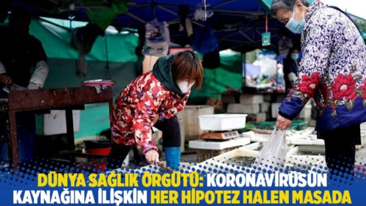 Dünya Sağlık Örgütü: Koronavirüsün kaynağına ilişkin her hipotez halen masada