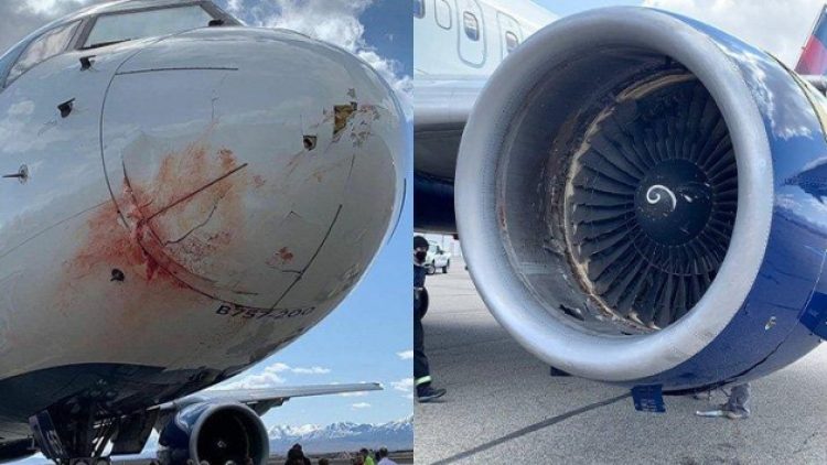 Utah Jazz’ın uçağı kuş sürüsüne çarptı! Acil iniş ve korku dolu anlar…