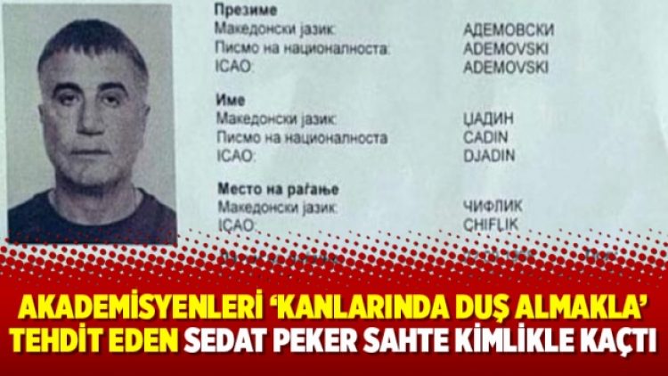 Akademisyenleri ‘kanlarında duş almakla’ tehdit eden Sedat Peker sahte kimlikle kaçtı