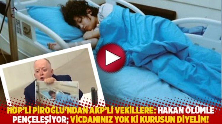 HDP’li Piroğlu’ndan AKP’li vekillere: Hakan ölümle pençeleşiyor; vicdanınız yok ki kurusun diyelim!