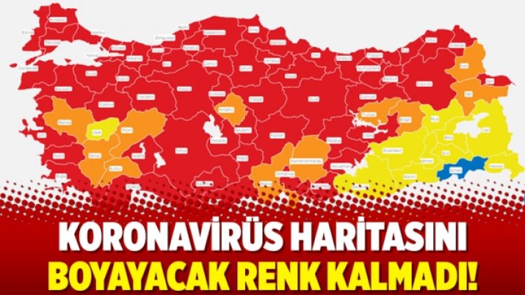Koronavirüs haritasını boyayacak renk kalmadı!