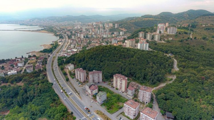 Karar Erdoğan’dan: Fatsa’nın ormanları otopark olacak