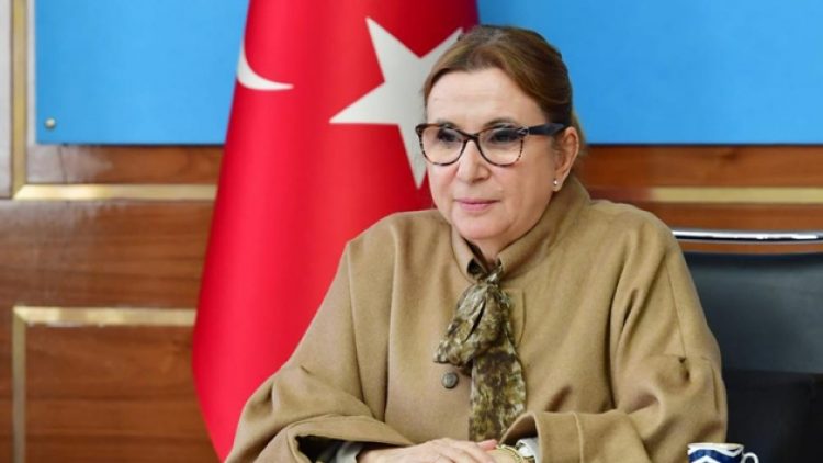 Pekcan, şirketi ile bakanlığı arasındaki ticareti doğruladı: Ucuza aldık