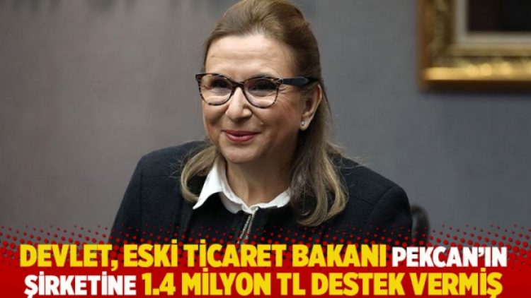 Devlet, eski Ticaret Bakanı Pekcan’ın şirketine 1.4 milyon TL destek vermiş