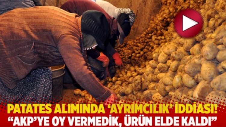 Patates alımında ‘ayrımcılık’ iddiası! AKP’ye oy vermedik, ürün elde kaldı