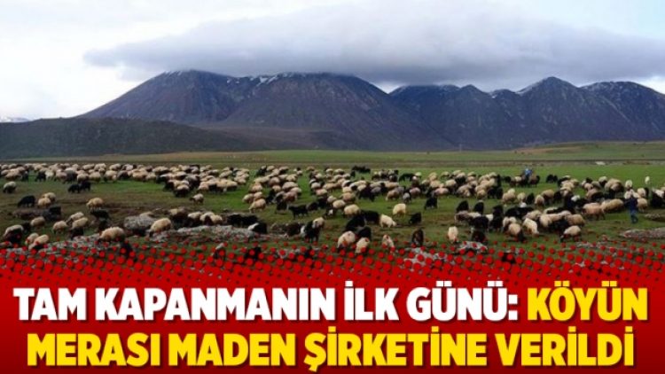 Tam kapanmanın ilk günü: Köyün merası maden şirketine verildi