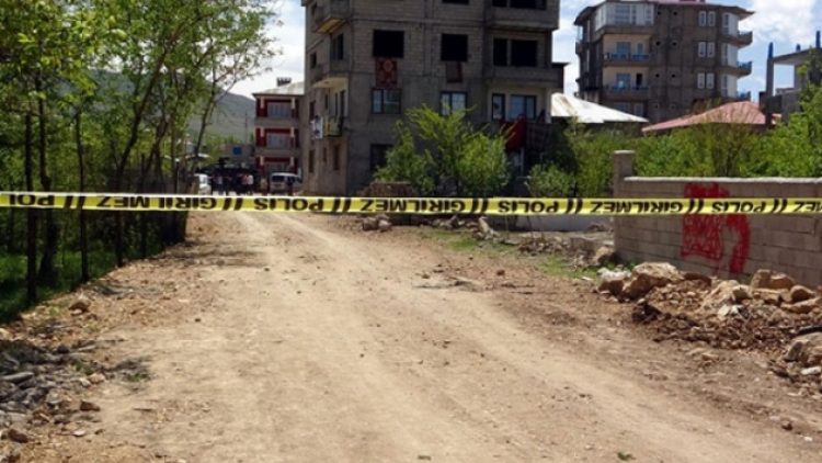 Van’da yol kenarında yakılmış ceset bulundu