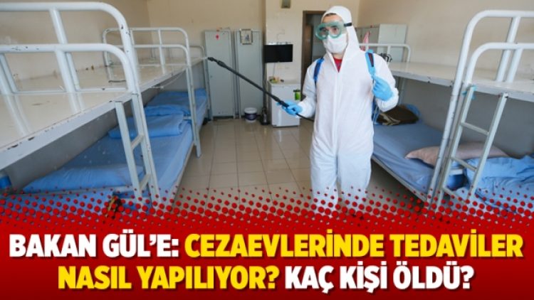 Bakan Gül’e: Cezaevlerinde tedaviler nasıl yapılıyor? Kaç kişi öldü?