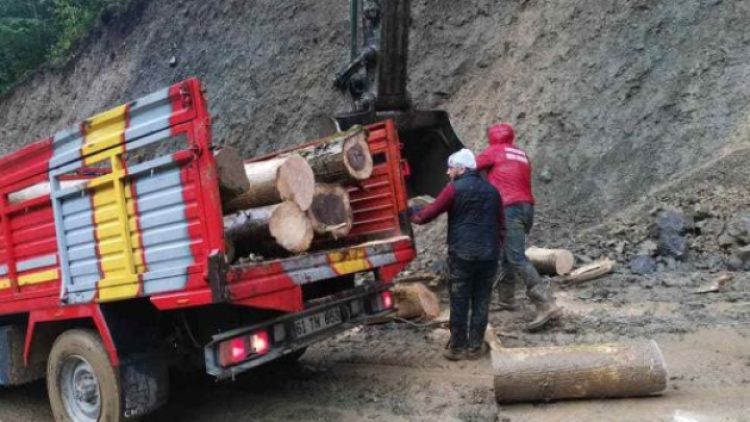İşkencedere Vadisi’nde kesilen ağaçlar muhtarlara mı veriliyor?