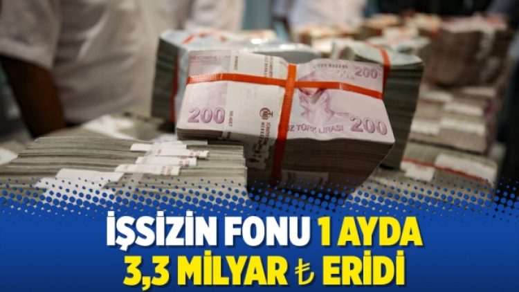 İşsizin fonu 1 ayda 3,3 milyar ₺ eridi