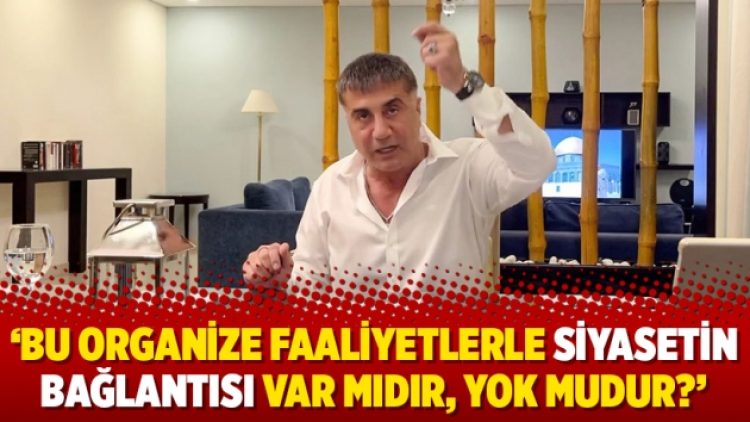 ‘Bu organize faaliyetlerle siyasetin bağlantısı var mıdır, yok mudur?’