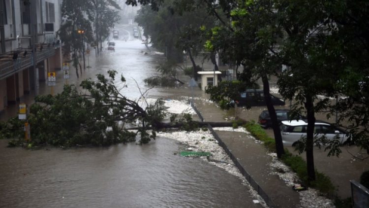Çin’i kasırga vurdu! 10 ölü, yüzlerce yaralı