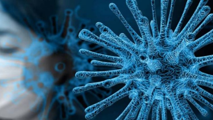 Korona’ya yakalanan her 100 kişiden ikisi hayatını kaybetti