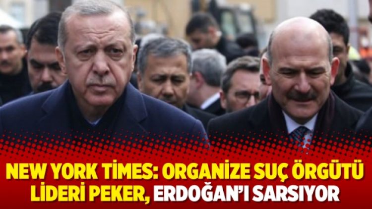 New York Times: Organize suç örgütü lideri Peker, Erdoğan’ı sarsıyor