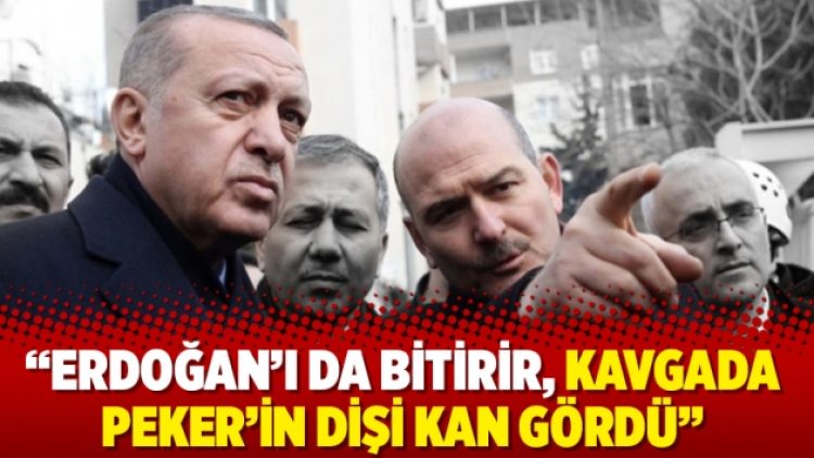 “Erdoğan’ı da bitirir, kavgada Peker’in dişi kan gördü”