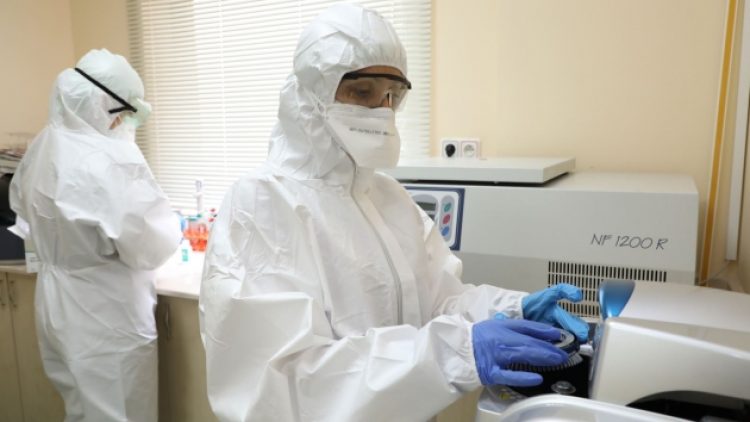 Araştırma: Köpeklerde yeni bir koronavirüs türü tespit edildi, insanlara geçmiş olabilir