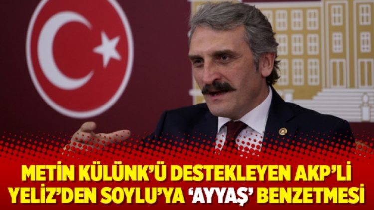 Metin Külünk’ü destekleyen AKP’li Yeliz’den Soylu’ya ‘ayyaş’ benzetmesi