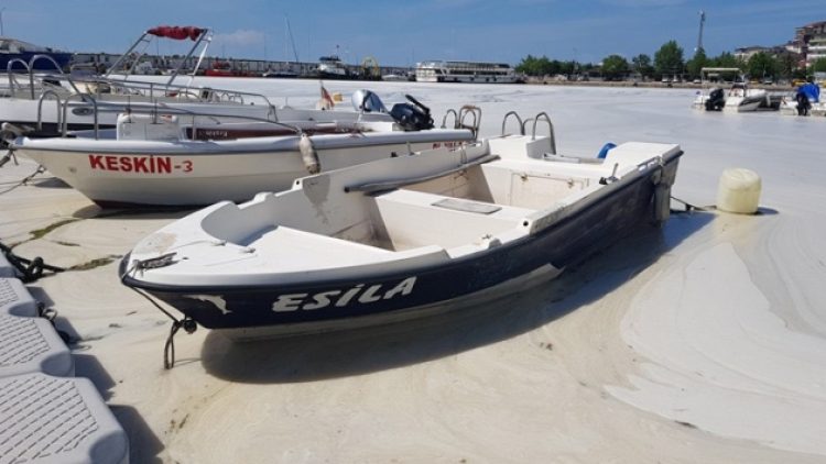 Çınarcık sahili deniz salyasıyla kaplandı