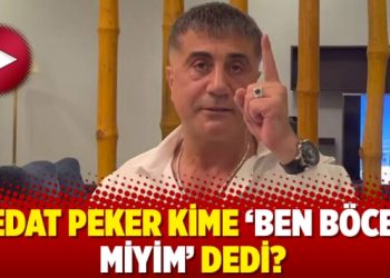 Sedat Peker kime ‘Ben böcek miyim’ dedi?