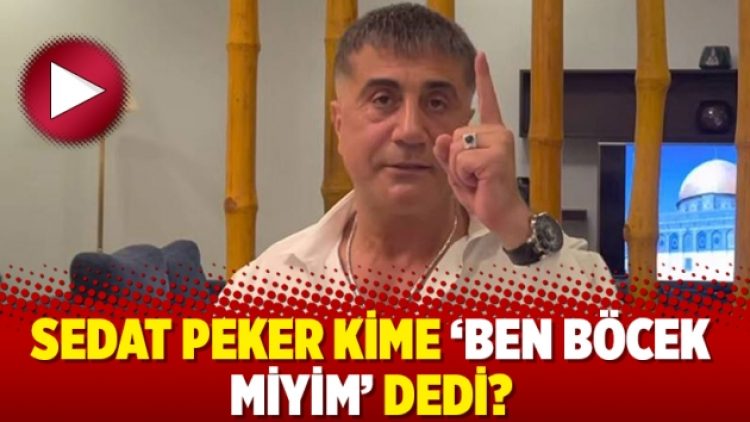 Sedat Peker kime ‘Ben böcek miyim’ dedi?