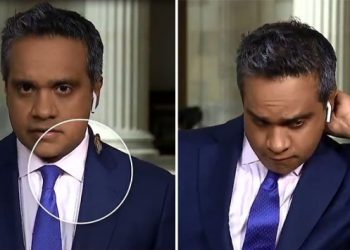 CNN muhabirinin böcek tepkisi viral oldu