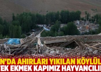 Van’da ahırları yıkılan köylüler: Tek ekmek kapımız hayvancılık