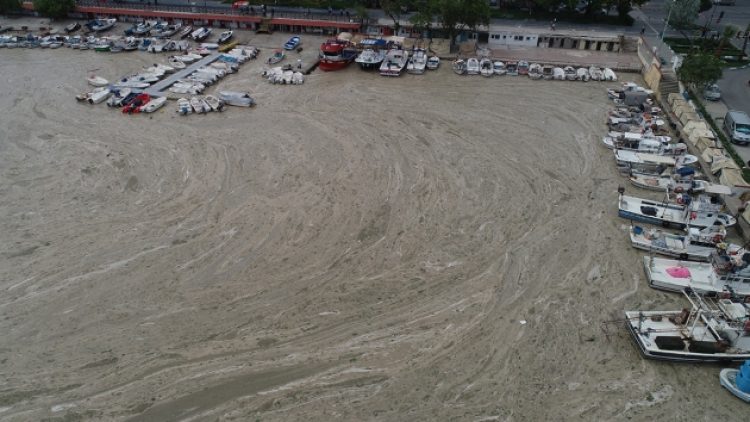 Tehlikeli boyuttaki müsilaj hakkında uzmanlar uyardı: Marmara feryat ediyor