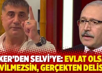 Peker’den Selvi’ye: Evlat olsan sevilmezsin, gerçekten delisin