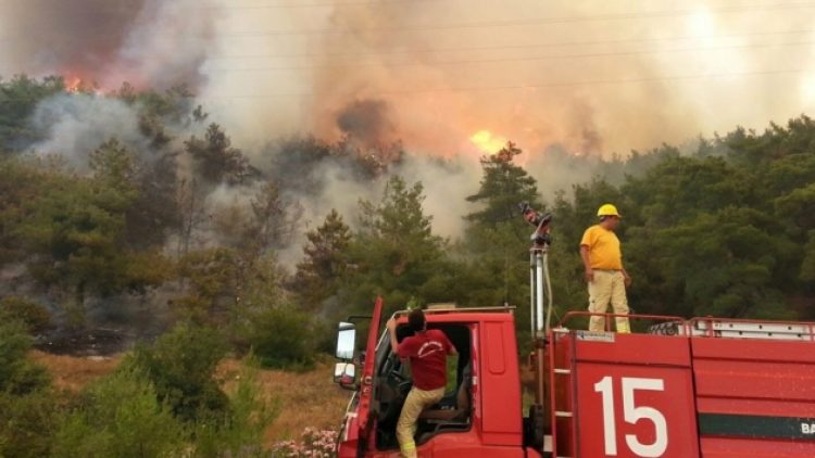 İzmir’de orman yangını: Alevlere müdahale sürüyor