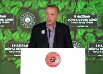 Erdoğan: İstanbul’da ağaç mağaç yoktu