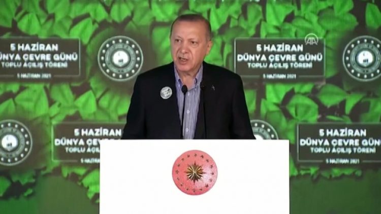 Erdoğan: İstanbul’da ağaç mağaç yoktu