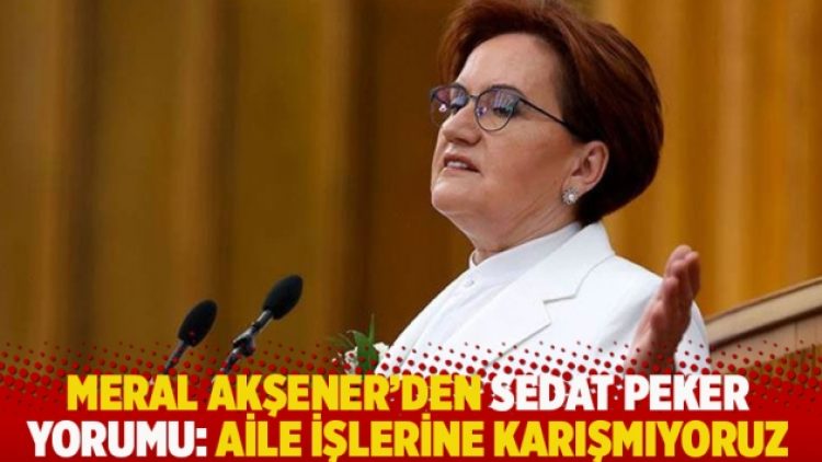 Meral Akşener’den Sedat Peker yorumu: Aile işlerine karışmıyoruz