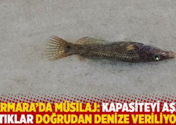 Marmara’da müsilaj: Kapasiteyi aşan atıklar doğrudan denize veriliyor