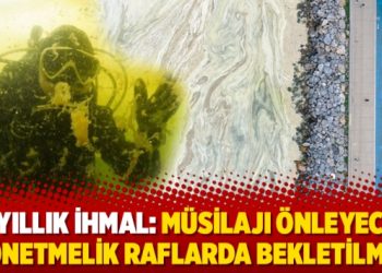 10 yıllık ihmal: Müsilajı önleyecek yönetmelik raflarda bekletilmiş