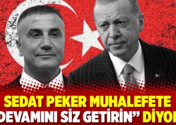 Sedat Peker muhalefete “Devamını siz getirin” diyor!