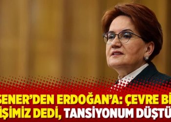 Akşener’den Erdoğan’a: Çevre bizim işimiz dedi, tansiyonum düştü