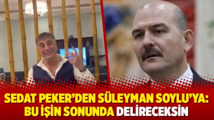 Sedat Peker’den Süleyman Soylu’ya: Bu işin sonunda delireceksin