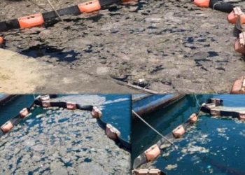 Müsilajı deniz bakterileriyle temizleme deneyinde başarılı sonuç