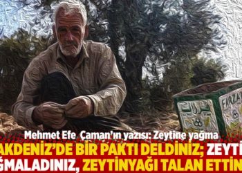 “Akdeniz’de bir paktı deldiniz; zeytin yağmaladınız, zeytinyağı talan ettiniz”