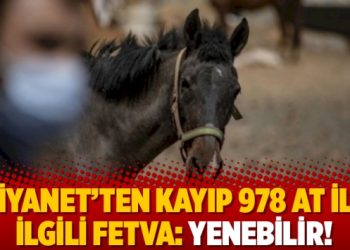 Diyanet’ten kayıp 978 at ile ilgili fetva: Yenebilir!
