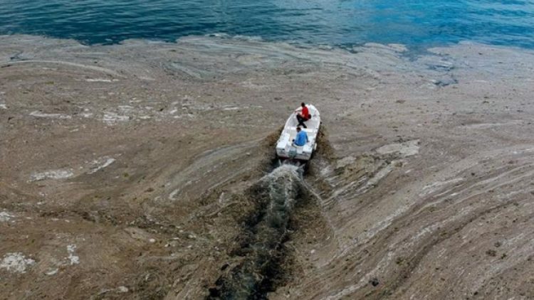 Müsilajlı Türkiye: Deniz var ama girmek yasak